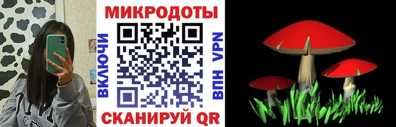 Псилоцибиновые грибы GOLDEN TEACHER  Кубинка 